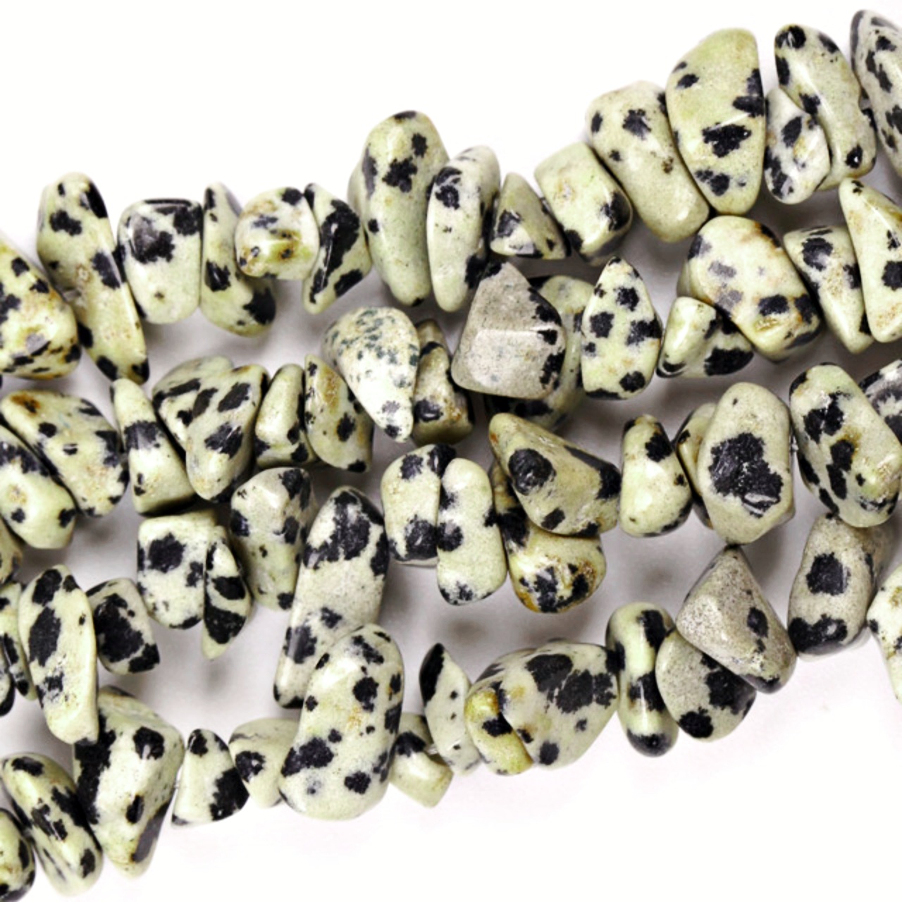 Dalmatian Jasper